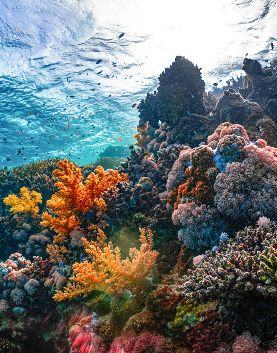 Sunlight over a shallow coral reef